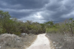 von-bayahibe-nach-dominicus_109