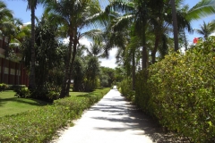 iberostar-punta-cana_1137