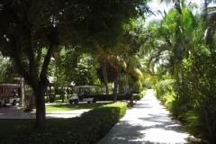 iberostar-punta-cana_1142