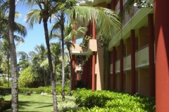 iberostar-punta-cana_1146