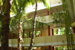 iberostar-punta-cana_1147