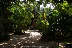 Big Fish Resort Ko Tao