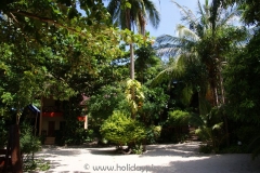 Big Fish Resort Ko Tao