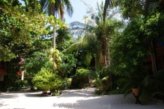 Big Fish Resort Ko Tao