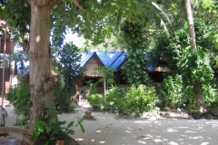 ko-tao-big-fish-resort068