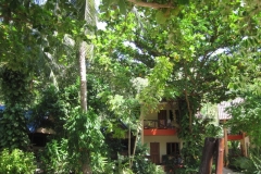 ko-tao-big-fish-resort070