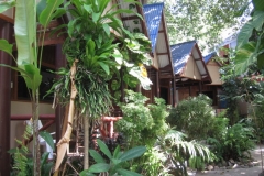 ko-tao-big-fish-resort081