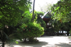 ko-tao-big-fish-resort088