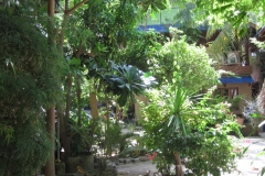 ko-tao-big-fish-resort090