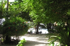 ko-tao-big-fish-resort092