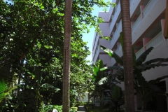 rio-naiboa_0623