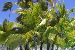 riu-naiboa-pool_0641