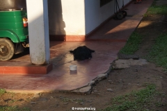 Orchid Villa Unawatuna Sri Lanka