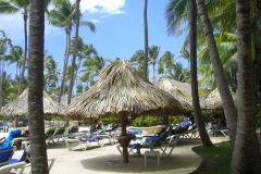 grand-palladium-palace-poolbereich_3547