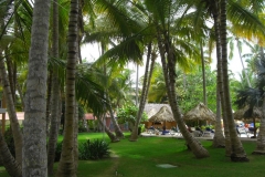 grand-palladium-palace-poolbereich_3548