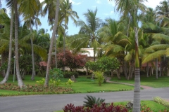 grand-palladium-palace-allgemeines_3445