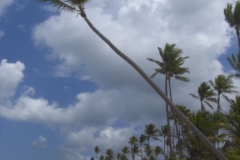 grand-palladium-palace-strandbereich_3606