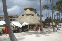 edenh-real-arena-punta-cana-poolbereich_4142