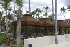 edenh-real-arena-punta-cana-poolbereich_4168