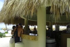 edenh-real-arena-punta-cana-poolbereich_4197