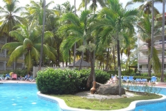 carabela-beach-resort-poolbereich_3309