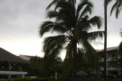 occidental-grand-punta-cana-poolbereich_2846