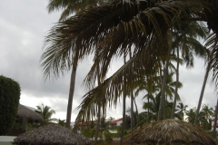 occidental-grand-punta-cana-poolbereich_2855