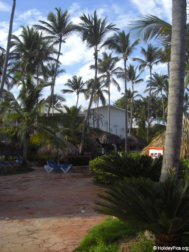lti-beach-resort-punta-cana-poolbereich_4700
