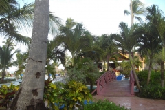 lti-beach-resort-punta-cana-poolbereich_4686