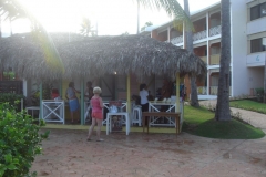lti-beach-resort-punta-cana-poolbereich_4690