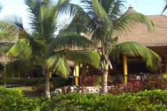 lti-beach-resort-punta-cana-poolbereich_4696