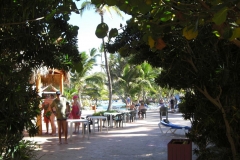 lti-beach-resort-punta-cana-poolbereich_4702