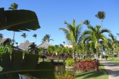 tropical-princess-beach-resort_0378
