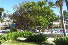 tropical-princess-resort-strand_0346