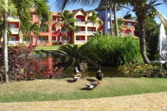 tropical-princess-resort_0370