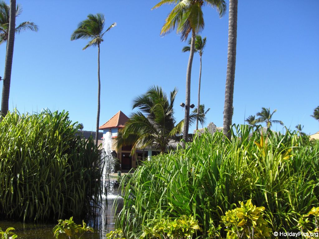 tropical-princess-beach-resort_0377