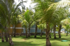 grand-palladium-punta-cana-bungalows_3682