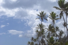 grand-palladium-punta-cana-strandbereich_3804