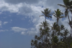 grand-palladium-punta-cana-strandbereich_3806