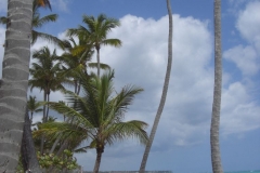 grand-palladium-punta-cana-strandbereich_3817