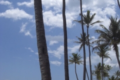 grand-palladium-punta-cana-strandbereich_3819