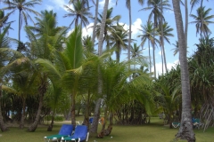 grand-palladium-punta-cana-strandbereich_3832