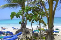 grand-palladium-punta-cana-strandbereich_3840