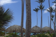 grand-palladium-punta-cana-strandbereich_3871