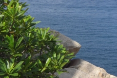 ko-tao-charm-churee028