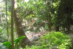 ko-tao-charm-churee034