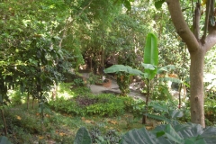 ko-tao-charm-churee035