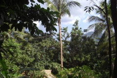 ko-tao-charm-churee039