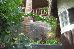 ko-tao-charm-churee042