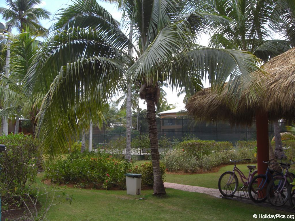 barcelo-dominican-beach-allgemein_3073